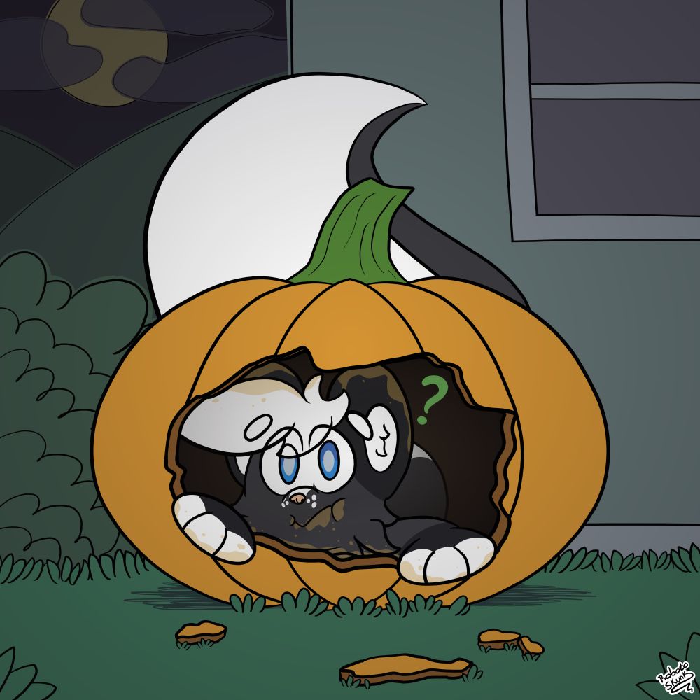 Alex Skunk eating inside a pumpkin at midnight.