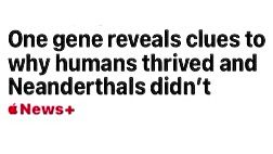 With the “news” that “One gene reveals clues to why humans thrived and Neanderthals didn’t” there’s hope that this administration won’t last 