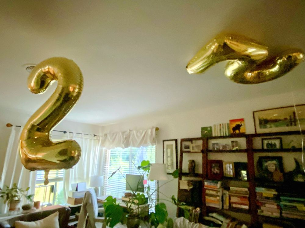 Two giant gold balloons, having drifted from the dining room, from my son’s 25th birthday party. The number 2 levitates in the middle of the living room, the number 5 floating flat up against the ceiling. Youth is fleeting. 