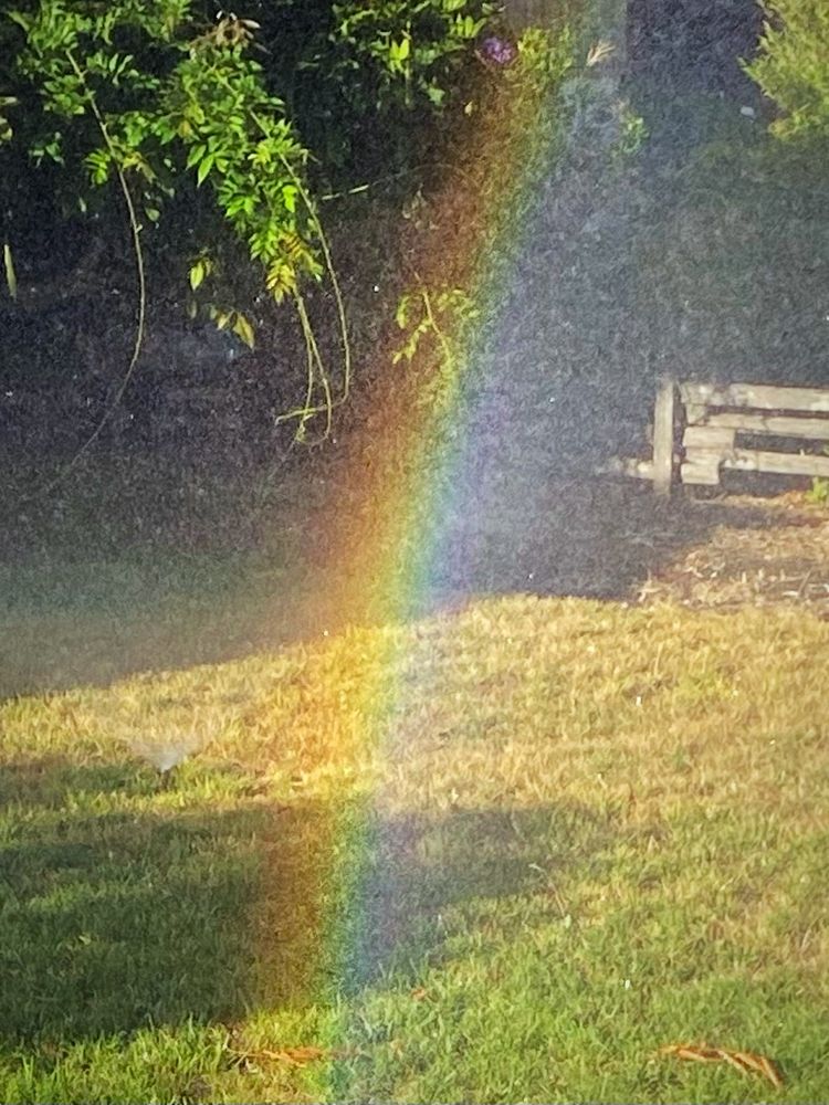 Sunshine and water across a neighbor’s yard making a rainbow 🌈 