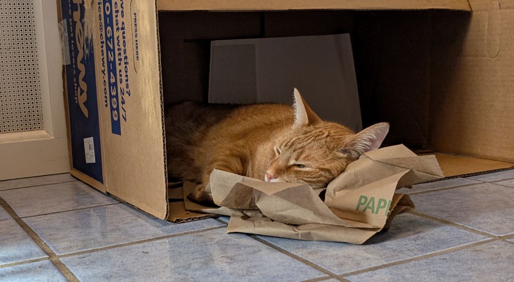 Orange tabby falling asleep on a pile of paper stuffing inside an overturned cardboard box.
