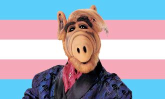 Alf on the trans flag