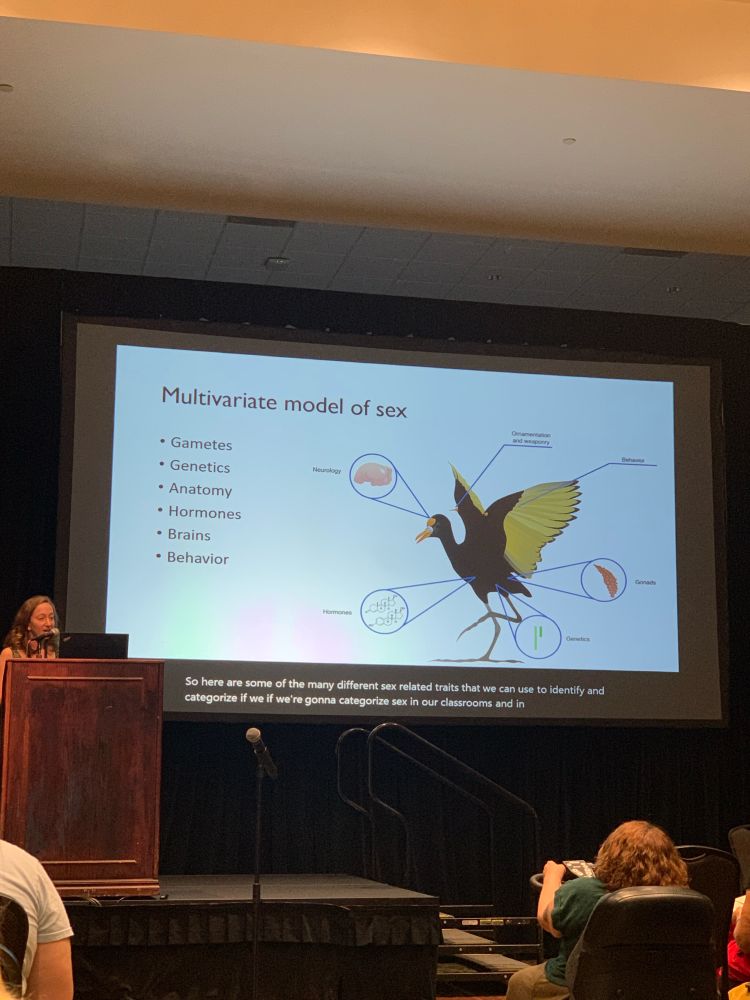 Sara Lipshutz presents her multivariate view of sex including gametes, genetics, anatomy, hormones, brains, and behavior
