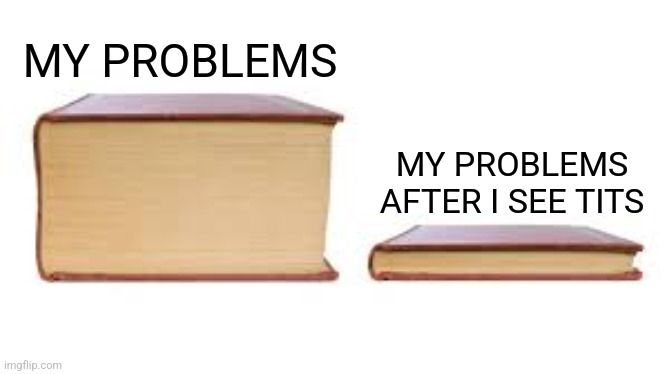 Big Book/Small Book meme:

My problems vs My problems after I see tits