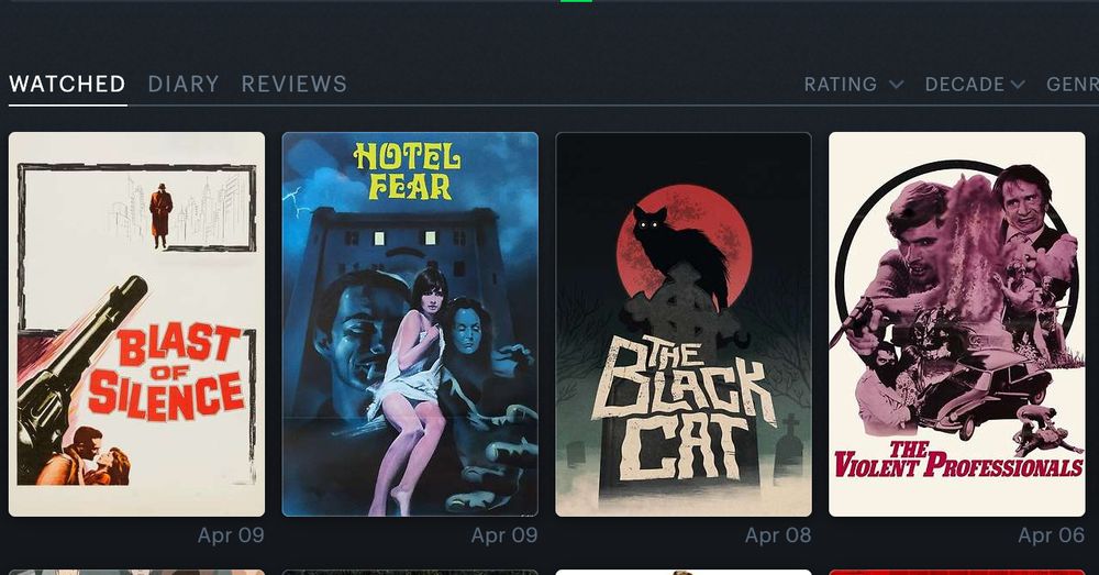 Blast of Silence, Hotel Fear, The Black Cat, The Violent Professionals