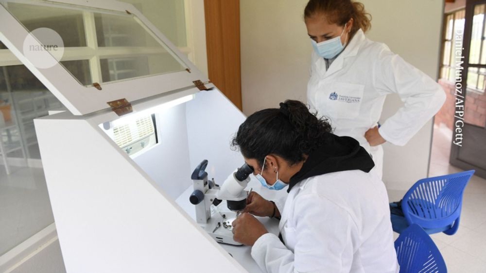 header image - How a PhD student’s lab size affects their chance of future academic success