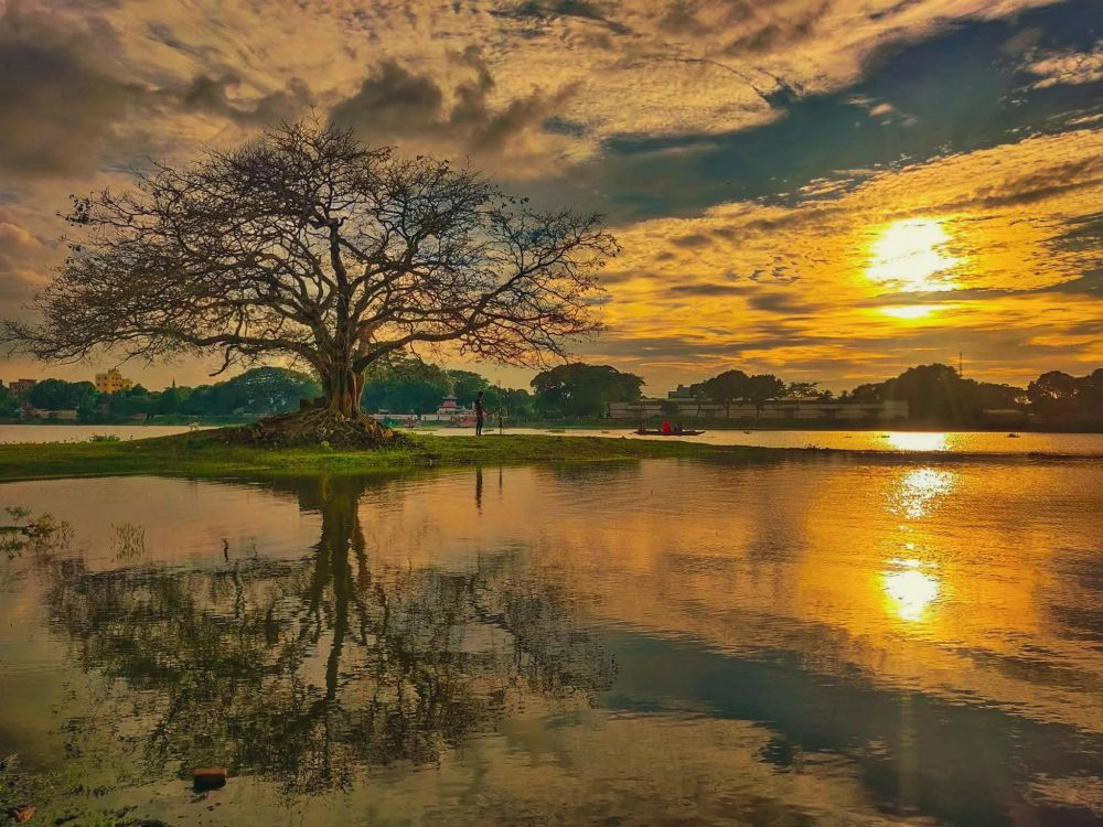 A stunning golden sunset over a calm lake, with a large leafless tree standing on a small grassy island, its reflection mirrored in the water, under a sky filled with dramatic clouds.
