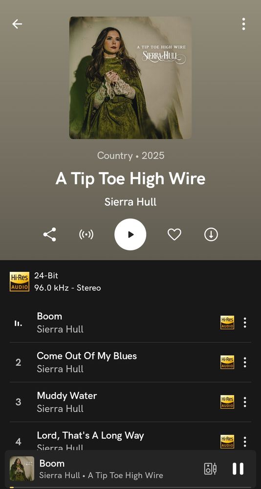 A Tip Toe High Wire - Sierra Hull
