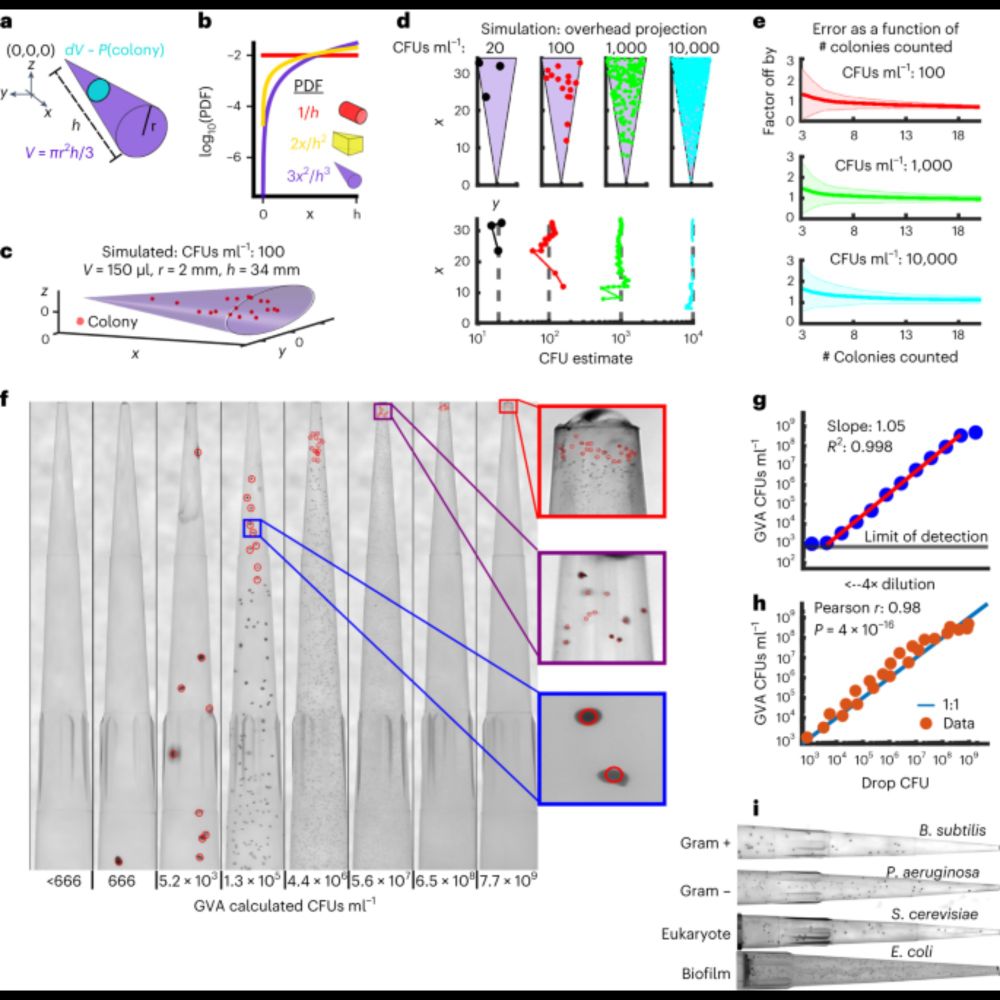 A high-throughput and low-waste viability assay for microbes - Nature Microbiology