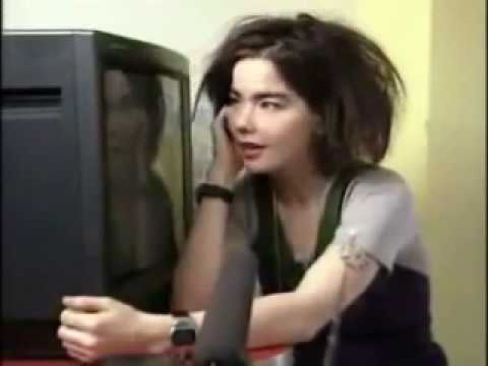 Bjork Takes apart her TV.