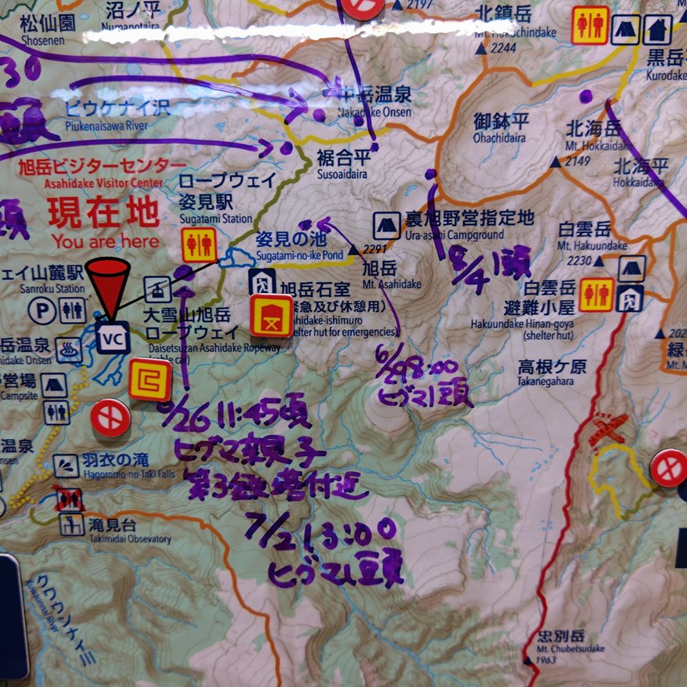 ヒグママップ　広域版、詳細版と様々ある。こんなすぐ近くにも来てた。私が今回歩いた遊歩道には来ないけど、そこから少し入った登山道には出る。とのこと。鈴を持って歩いている人が多かった。