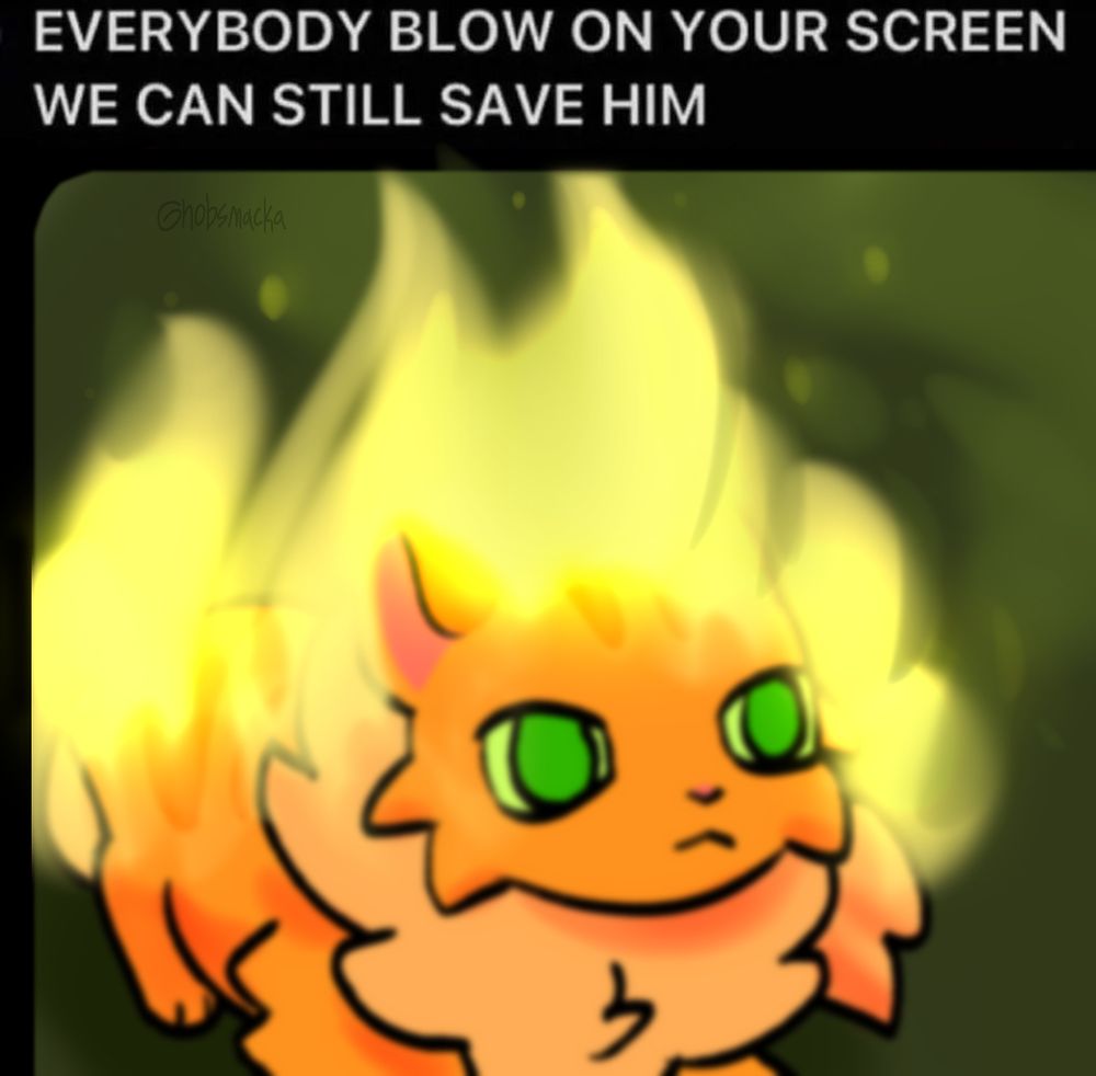firestar from warrior cats on fire with the caption EVERYBODY BLOW ON YOUR SCREEN WE CAN STILL SAVE HIM. 

the image is slightly blurry