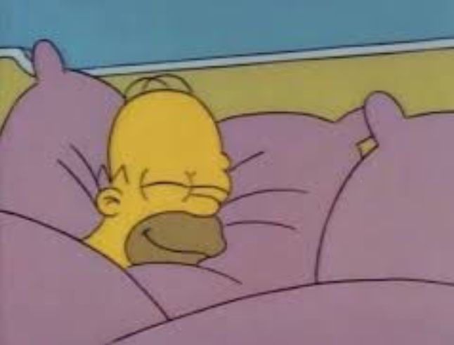 Homer Simpson (from iconic TV series The Simpsons) sleeping like a baby after a good day on cam