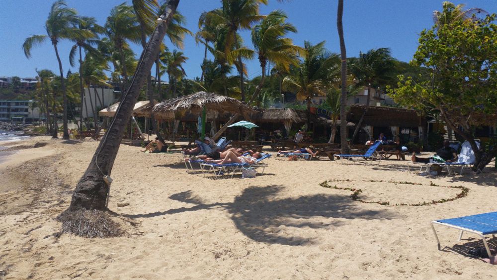 Palm trees, chairs, umbrellas, and cabanas on a beach. 