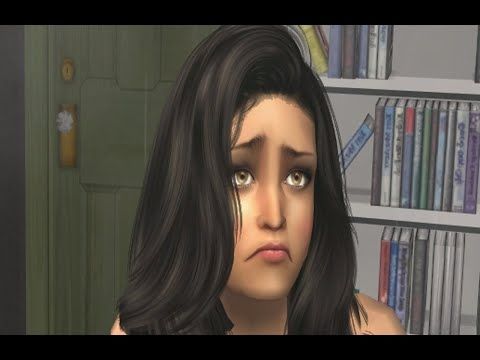 Sims2 Newton View Introduction