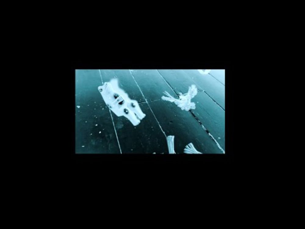 Lara Agar - Mangetout