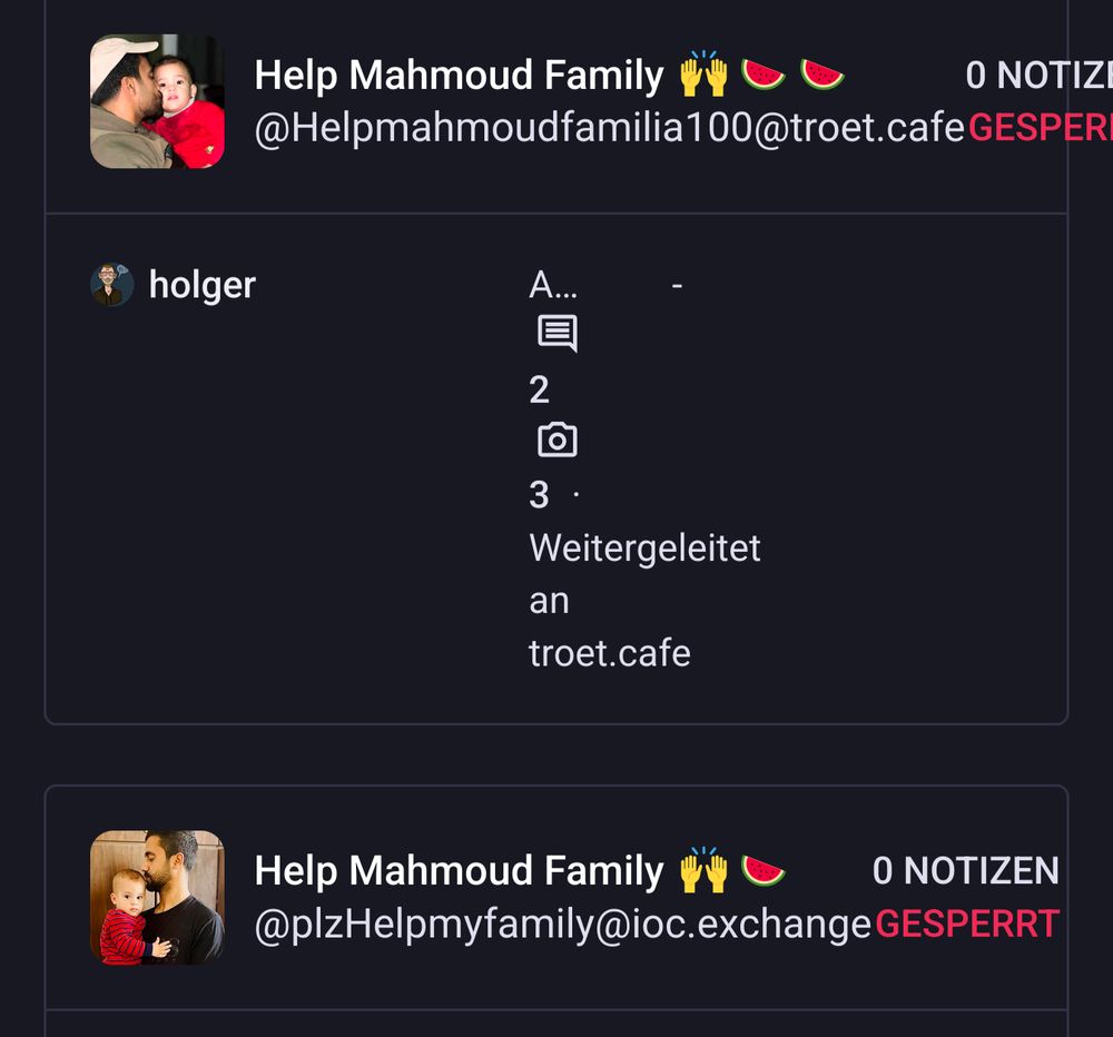 Screenshot von zwei gesperrten Mastodon-Konten mit dem Namen „Help Mahmoud Family“, jeweils mit Profilbild eines Mannes, der ein Baby hält. Beide Konten sind mit rotem „GESPERRT“ markiert, mit Benutzerdetails und Weiterleitungsaktivitäten.