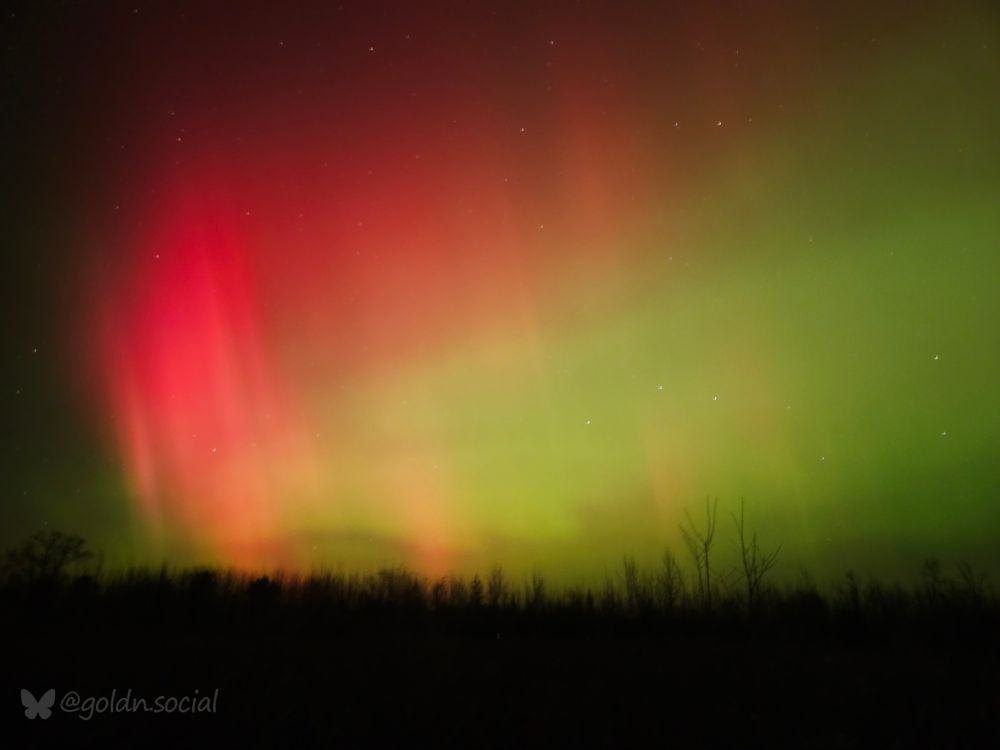 The red and greens in the northern lights looking beautiful. Trees in the bottom as well, this one is a little more blurry.
