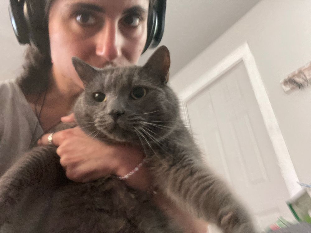 A gray cat is held against her will
