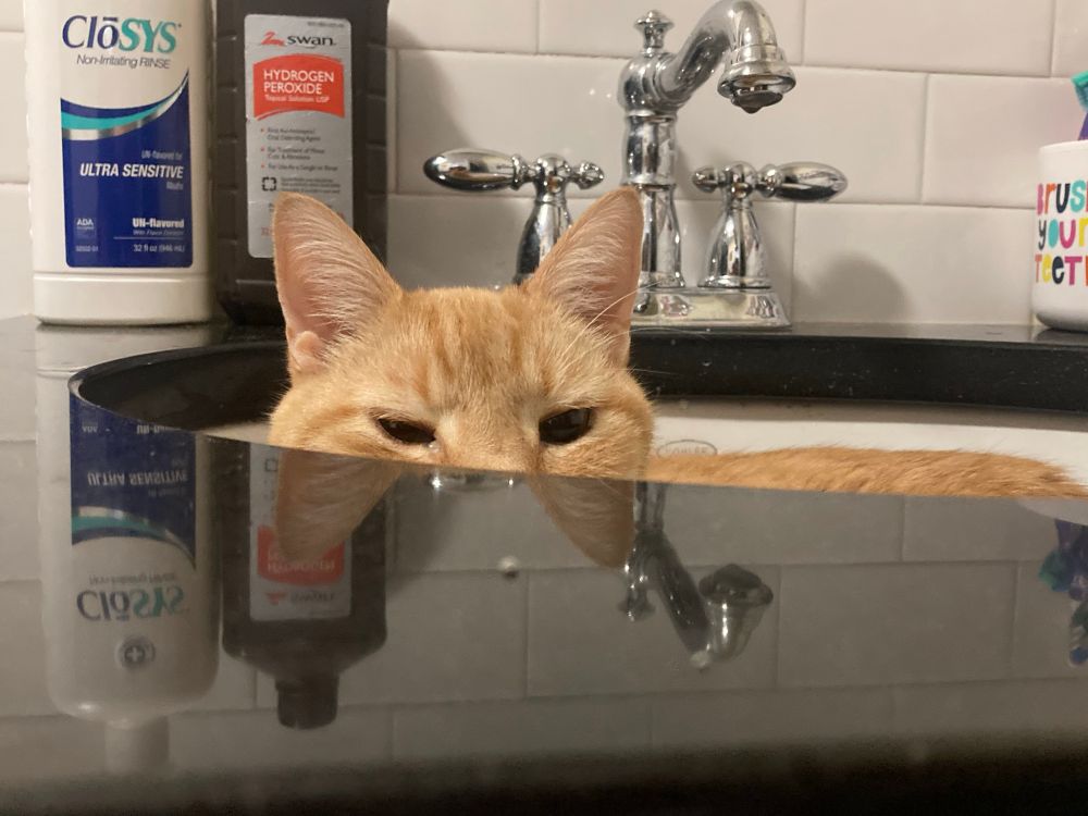 An orange cat peers out the top of a sink.