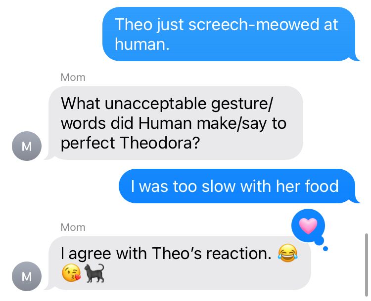 A text message exchange in which human’s mother takes Theo’s side in a matter 