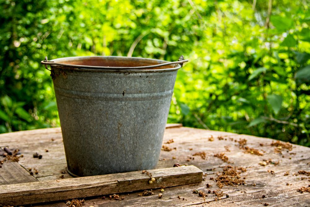 A zinc garden bucket on a wooden table with out of focus greenery in the background. 