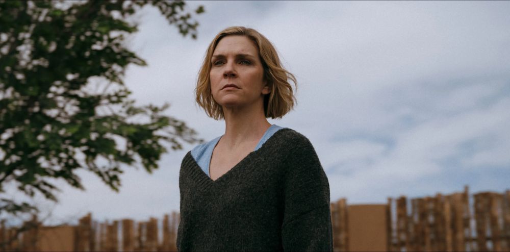 Carole Sturka from the TV show Pluribus, played by Rhea Seehorn. A white blonde woman in her late 30s standing in front of a garden fence, silhouetted against a cloudy sky, looking determined.