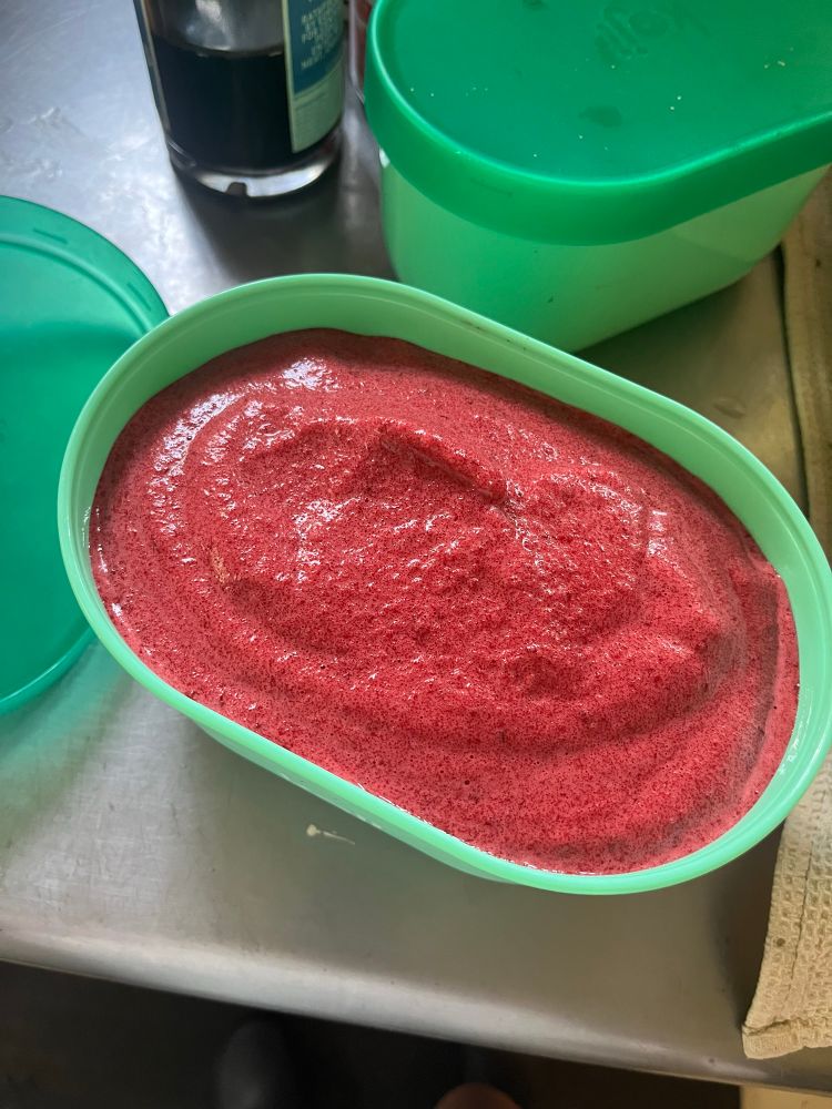 Cherry sorbet in a container