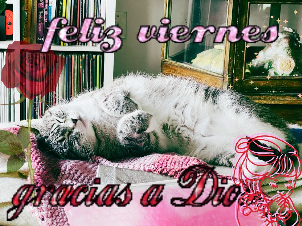Filtered photo of my cat Squeaky lying on top of her blanket, paws curled, eyes closed in simple bliss. Glitter text above her says “feliz viernes” and glitter text below her says “gracias a Dios”. The image has a small pastiche of romantic clip art framing the photo with a vaguely magical, Web 1.0 vibe all around