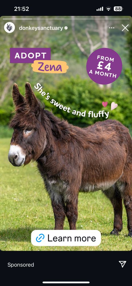Ad for  “donkeysanctuary” with a cute donkey captioned “she’s sweet and fluffy”
