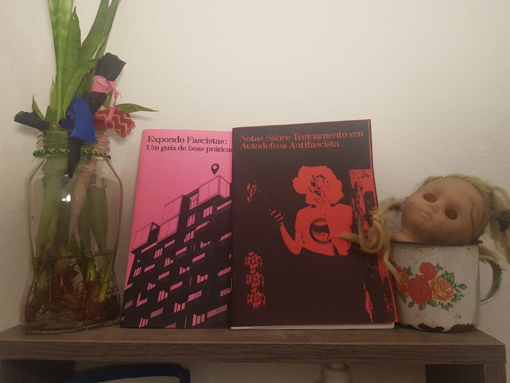 Foto digital de dois zines; eles estão em pé em uma preteleira de madeira, de um lado há um vidro com plantas dentro, no outro, uma cabeça de boneca dentro de uma caneca

Os zines são: Expondo Fascistas & Notas Sobre Autodefesa Antifascista