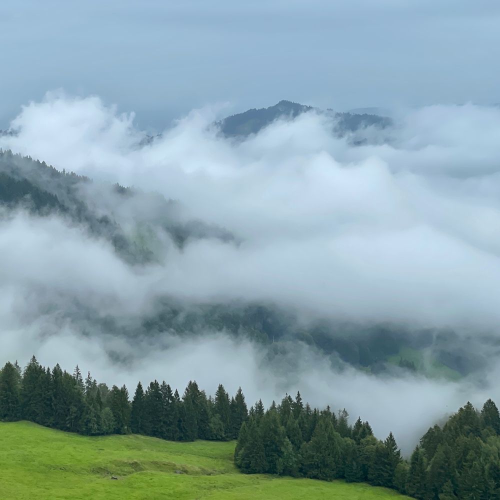Berge mit Nebelschwaden im Regen