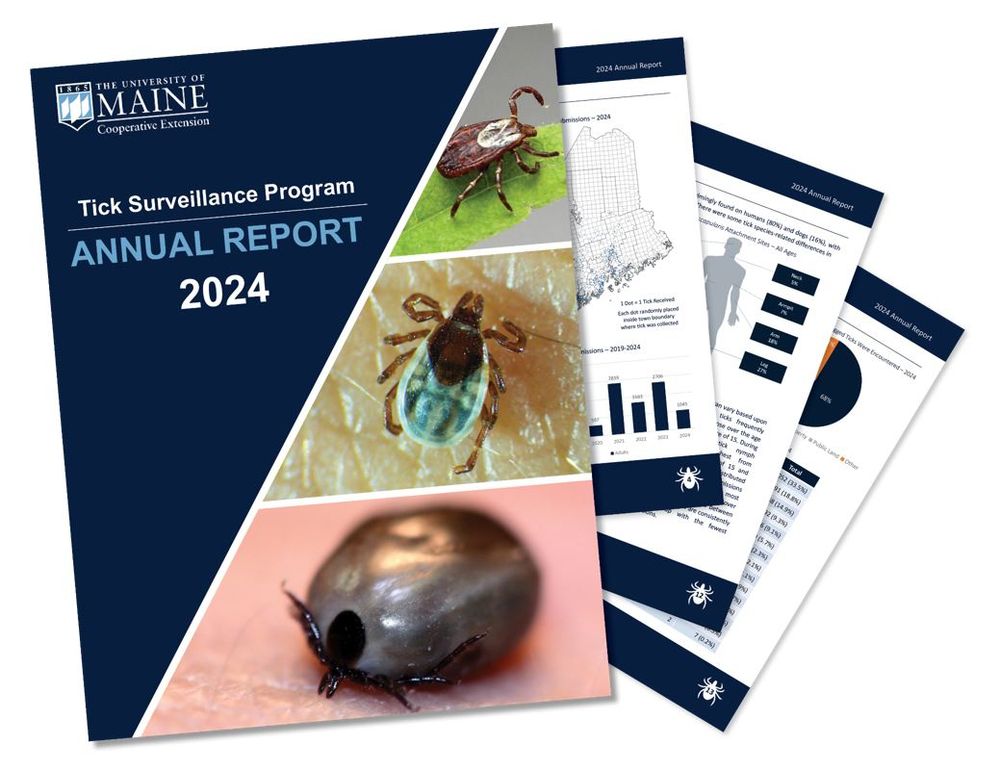 Cover of UMaine's 2024 annual tick report showing images of three adult ticks