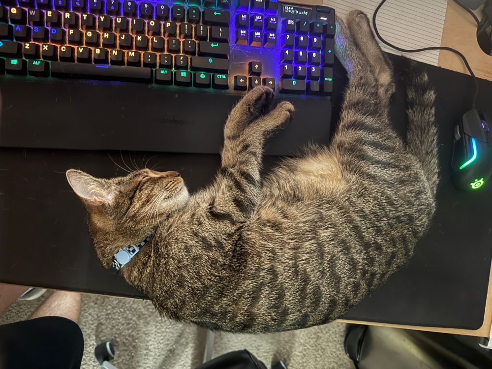 A gray tabby cat sleeping on a desk, curled up around the front of a keyboard. 