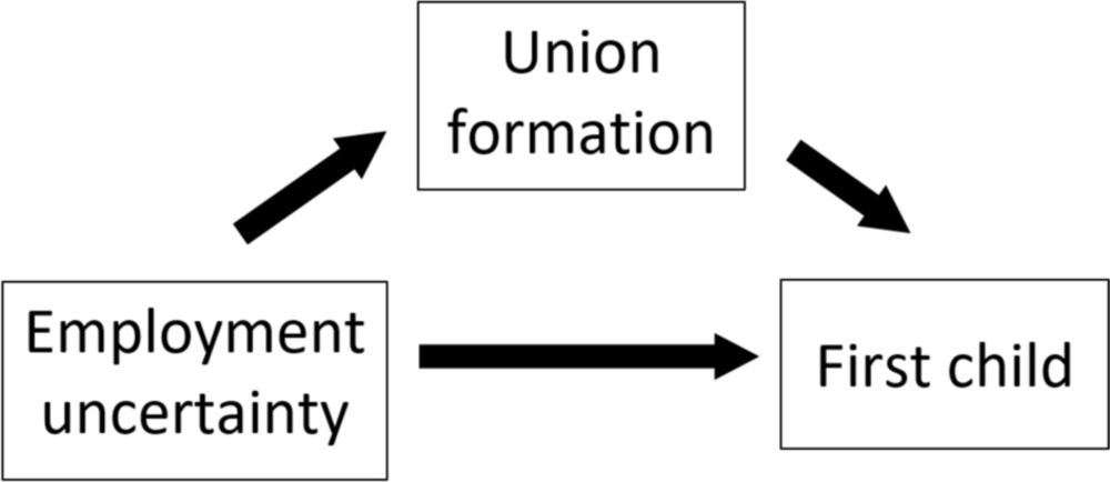 Employment uncertainty and parenthood: quantifying the mediating role of union formation - Journal of Population Research