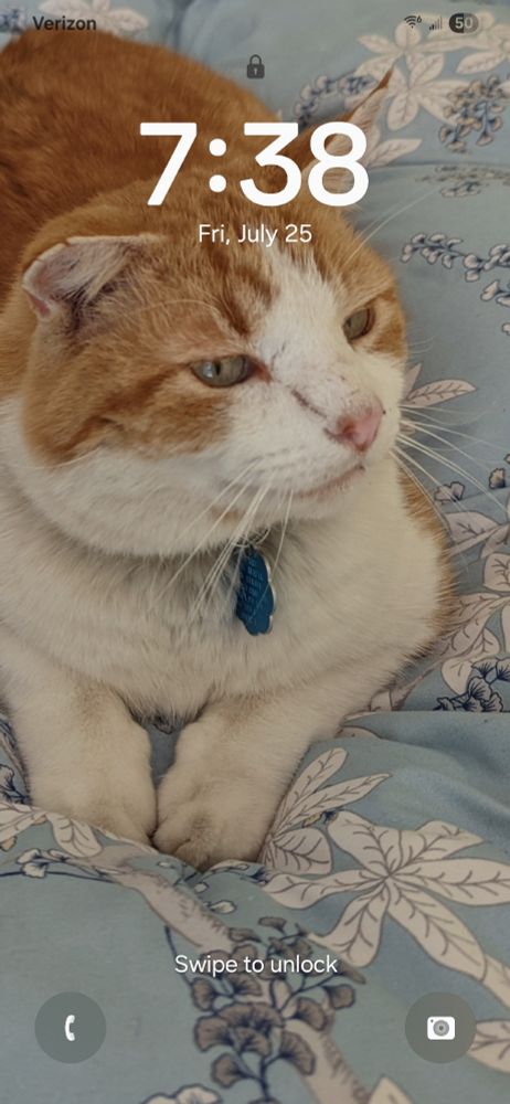Lock screen image of an orange and white tabby cat on a blue flora duvet cover with a scar on his nose from "Kitty Fight Club." 
