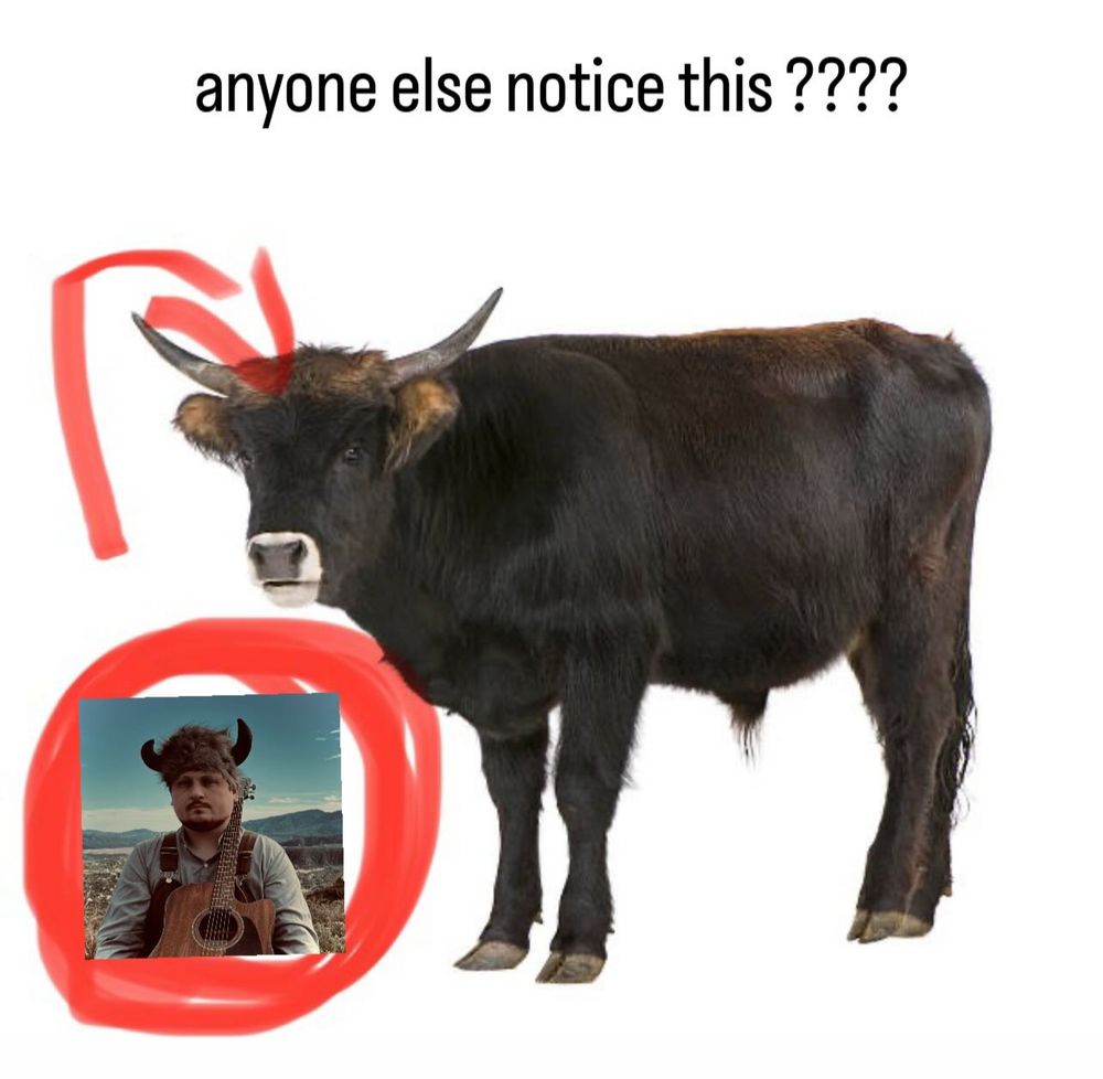 a picture of me dressed with an ox hat in a red circle and an arrow pointing towards a small ox. above it reads the text "anybody else notice this??"