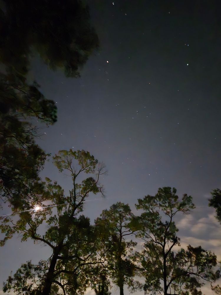 Night picture showing trees, moon, clouds, and stars 