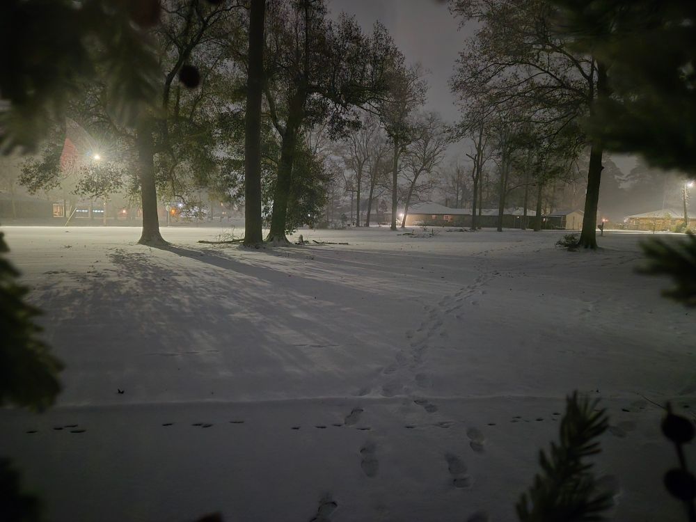 Snowy neighborhood morning