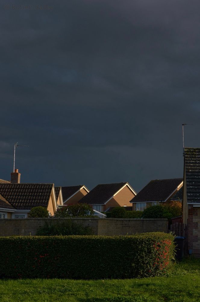 A group of yellow-brick houses behind a wall and a curve of hedge with red berries in it. The sky is dark blue cloud, and there is a strong light from the side highlighting parts of the houses' gable ends and television aerials.