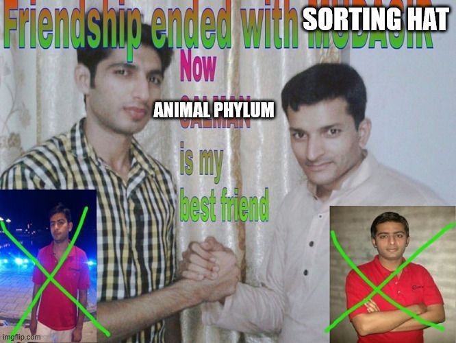 The "friendship canceled" meme rejecting the Sorting Hat in favor of phyla of the animal kingdom.