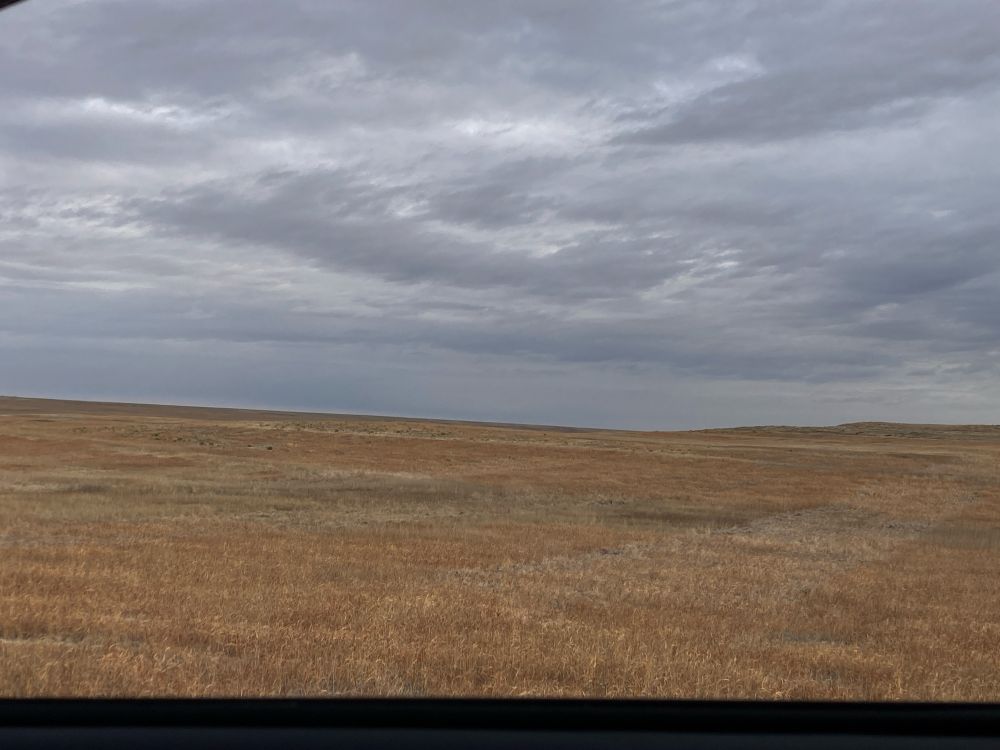 A winter prairie scene. The sky is dark gray with many low clouds. The grassland is a mix of natural yellows, greens, and oranges