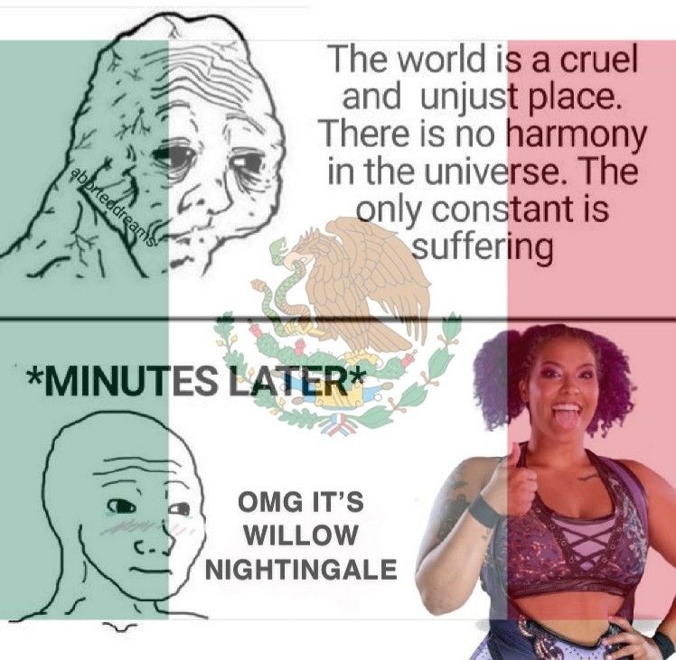"The world is a cruel and unjust place. There is no harmony in the universe. The only constant is suffering"
*Minutes later* 
OMG IT'S WILLOW NIGHTINGALE