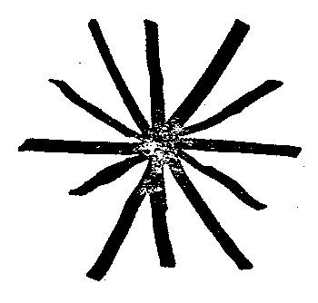 black and white drawing of a 12 sided asterisk 