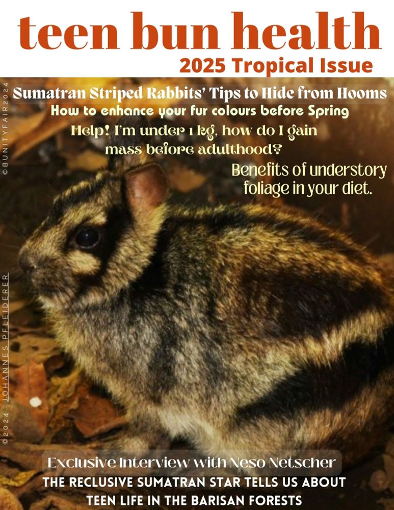 Cover of teen bun health for February 2025, Tropical Issue, showing a Sumatran Striped Rabbit. Articles: Benefits of understory foliage in your diet. Sumatran striped rabbit's tips to hide from hooms. How to enhance your fur colours before Spring. Help! I'm under 1 kg, how do I gain mass before adulthood? Exclusive interview with Neso Netscher, the reclusive Sumatran star tells us about teen life in the Barisan Forests. 