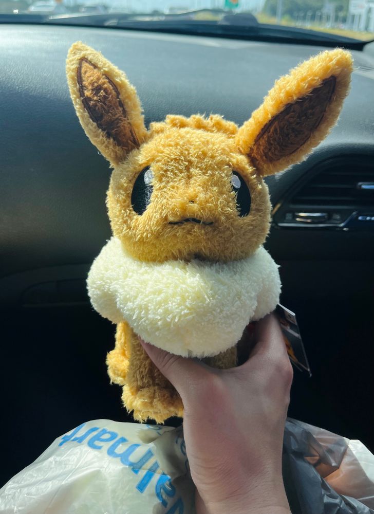 He was $15 they had Pikachu and Weed kitty too I’m glad I got eevee 