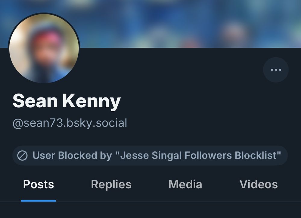 The blurred out people of Bluesky user Sean Kenny @sean73.bsky.social because it shows that the user blocked by 