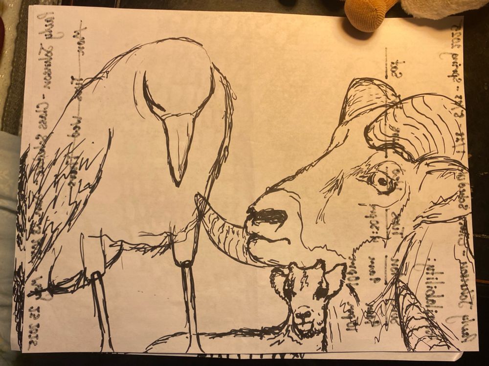 a raven, a lamb, and a ram