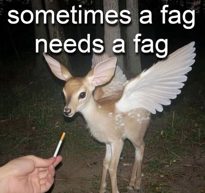 i’m a fag that needs a fag