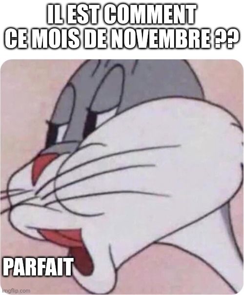 Meme sur le template Bugs Bunny Ni
- il est comment ce mois de novembre ??
- parfait
